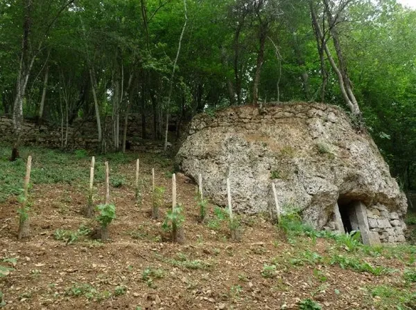 Visite de la cave troglodyte et des anciennes terrasses de vignes