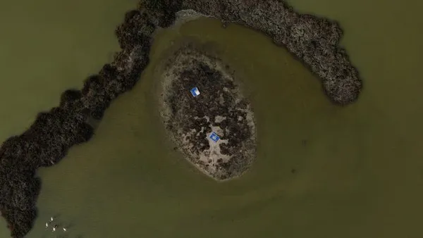 Visite du site naturel protégé des Salines de Villeneuve