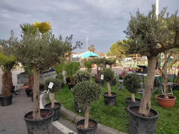 37e Foire aux plantes