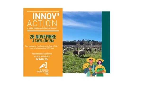 INNOVACTION le vitipastoralisme, une opération gagnant-gagnant