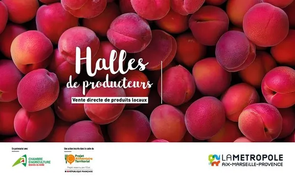 13 - Halle Plan de Campagne