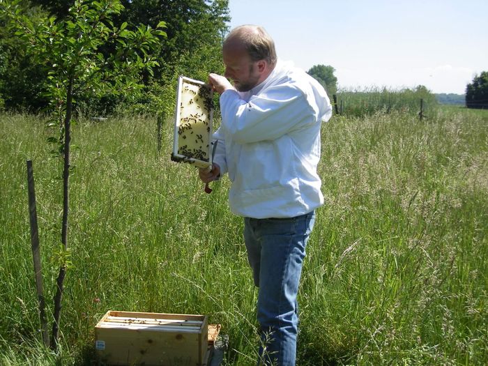 Trouver son équilibre en apiculture entre évolution du modèle, transition énergétique et diversification