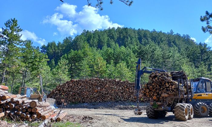04 - De la forêt à la chaufferie le 2 novembre