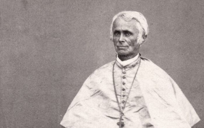 Jean-Claude Miche (1805-1873) – Un évêque missionnaire face au défi colonial indochinois