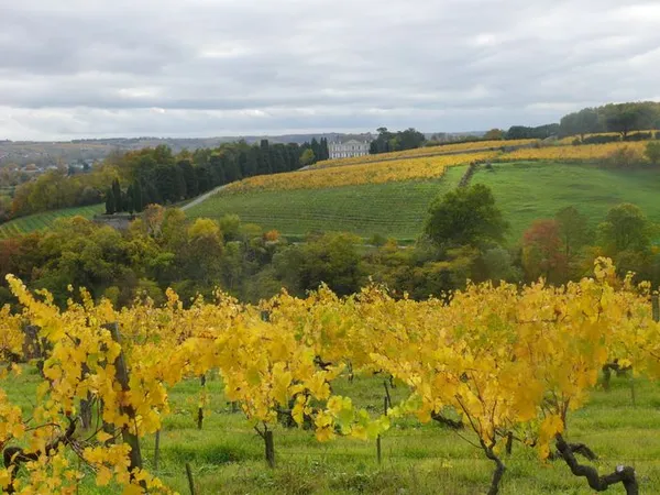 Coulée de Serrant