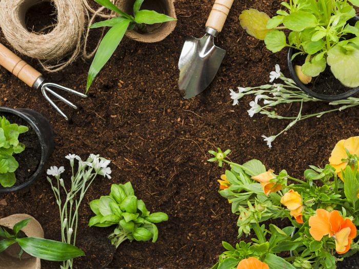 Des solutions faciles et naturelles pour mon jardin, c’est possible !