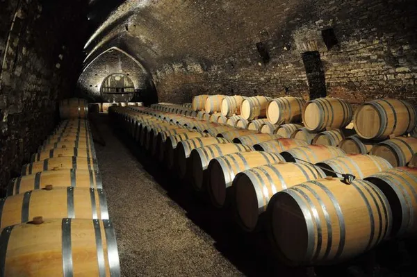 Visite du cellier du domaine Besson