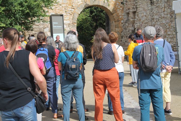 Visites flashs
