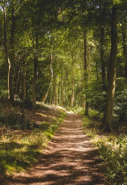 Rencontre : "Réchauffement climatique : comment la forêt va t-elle s'adapter ?", à Aubrac