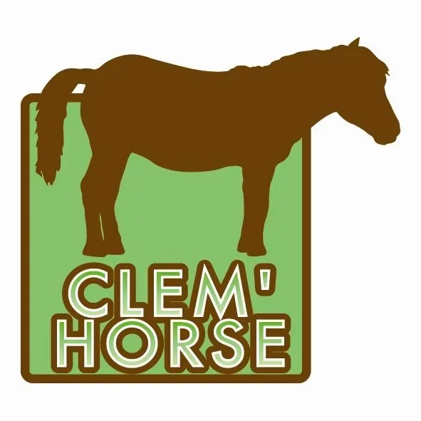 Balade au pas (trot) avec Clem'Horse