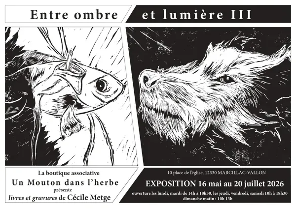 Exposition "Entre ombre et lumière"