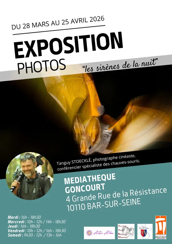 Exposition – À la découverte des chauves-souris à Bar-sur-Seine