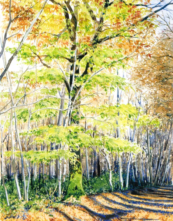 Exposition "Aquarelles" d'Isabelle Gatto-Sandri