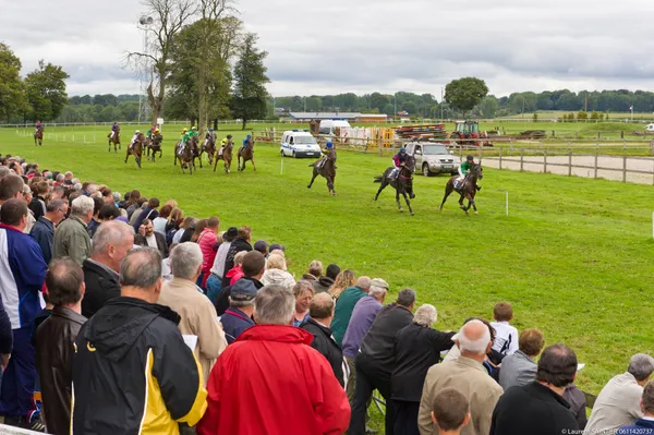 Courses Hippiques de trot