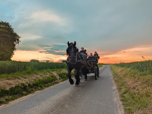 RDV Plein Air : balades en calèche, au pas des chevaux