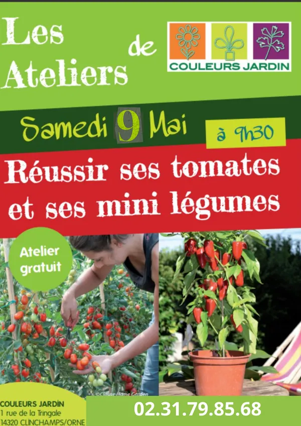 Atelier réussir ses tomates et mini légumes