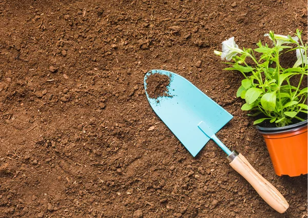 Animation familles : Jardinage