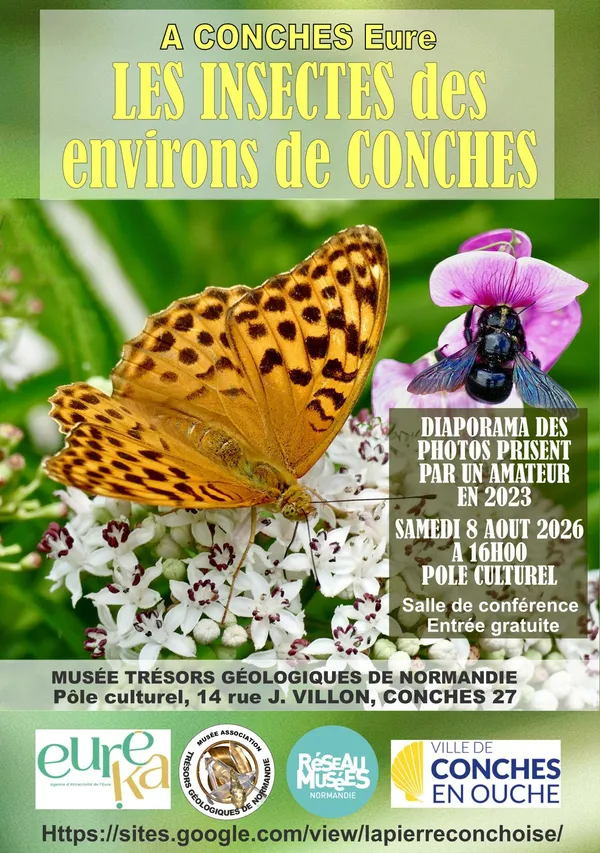Les insectes des environs de Conches, 08.08.2026