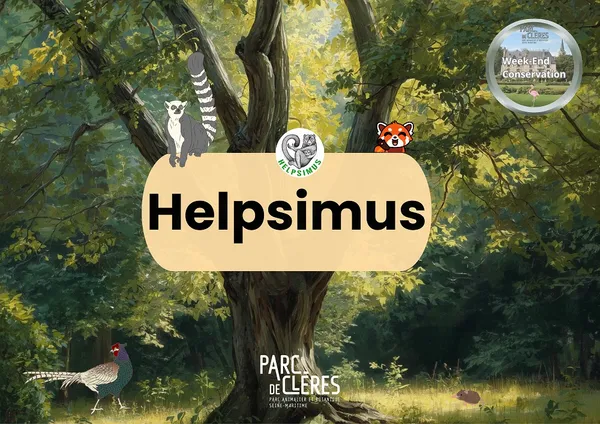 Weekend conservation - Helpsimus