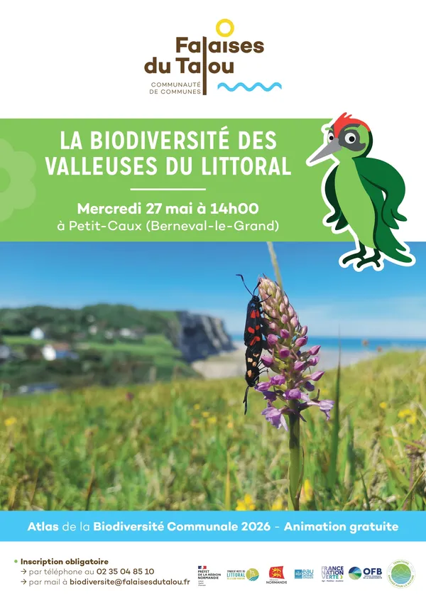 La biodiversité des valleuses du littoral