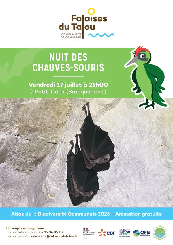 Nuit des chauves-souris