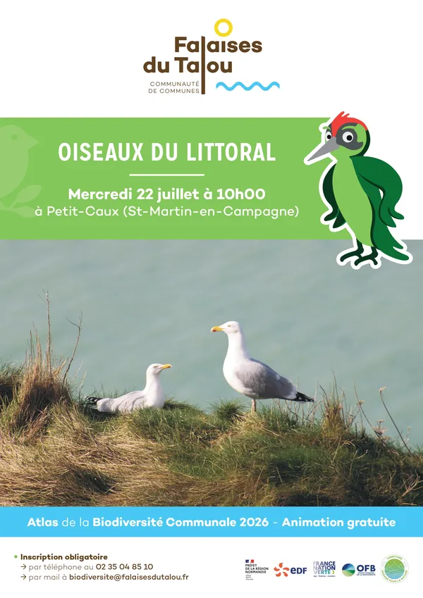 Oiseaux du littoral