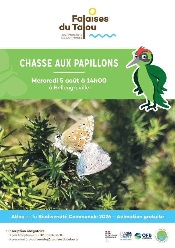 Chasse aux papillons