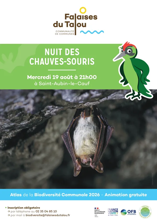 Nuit des chauves-souris