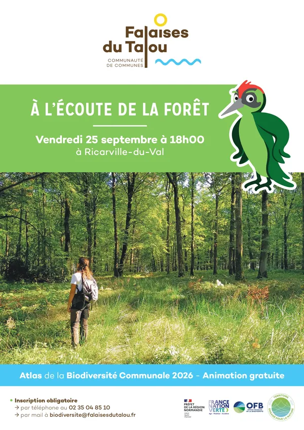 A l'écoute de la forêt