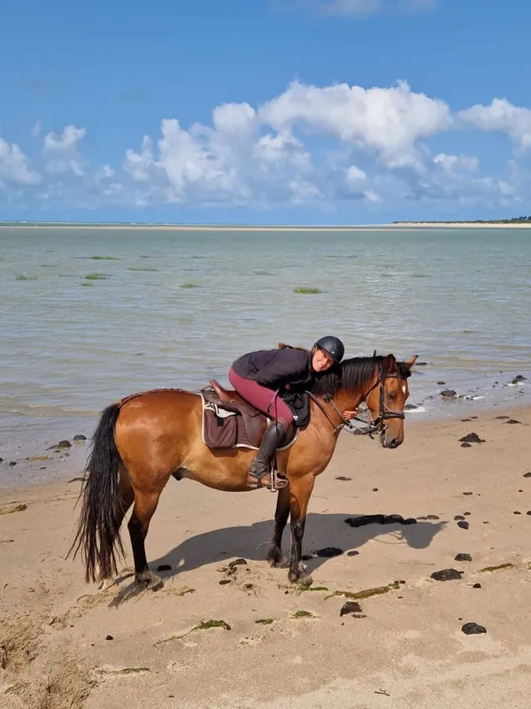 Randonnée à cheval 3 jours - Havre de la vanlée