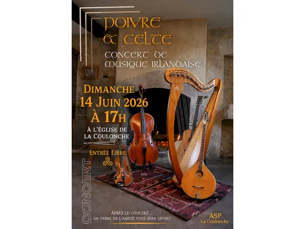 Concert de musique irlandaise "Poivre et Celte"
