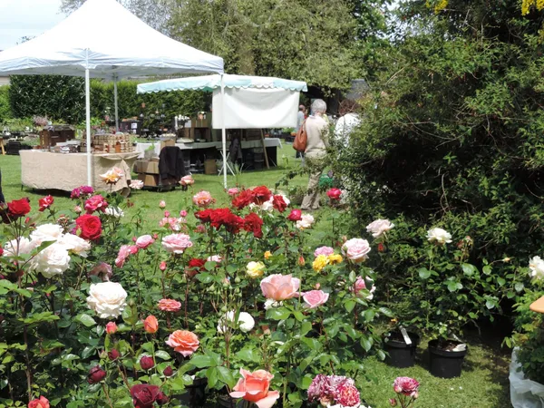 La fête des plantes - Creully -