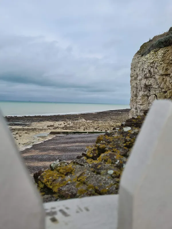 [Balade nature] Le littoral à marée basse - Puys