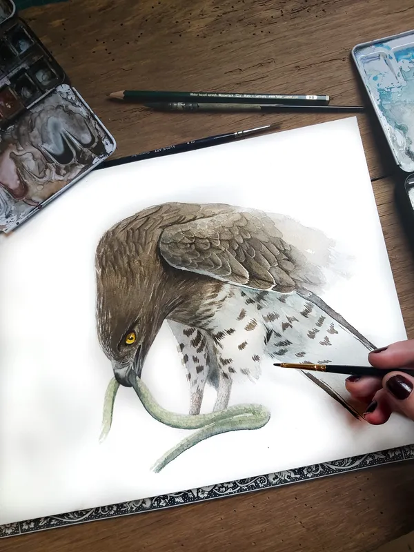 Ateliers aquarelle - Adultes