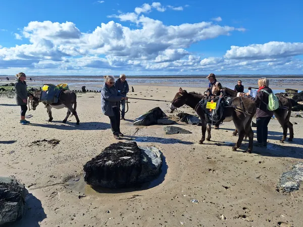 Opération "ramassage de déchets en Baie des Veys"