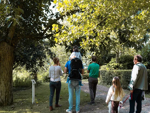 Journées du Patrimoine : A la quête de l’histoire et du patrimoine arboré du Parc Calouste Gulbenckian