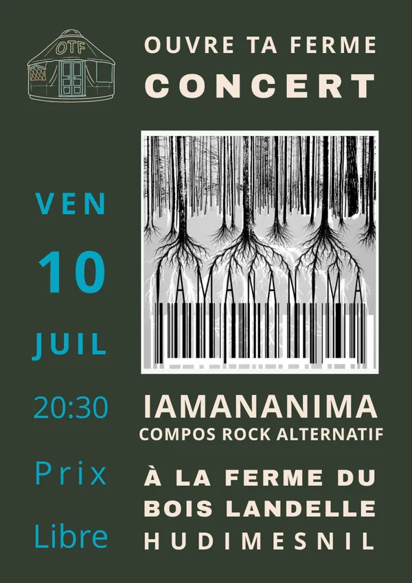 Iamananima en concert