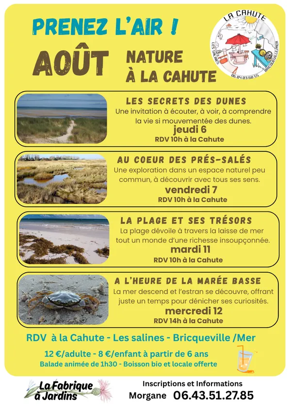 Au coeur des prés-salés
