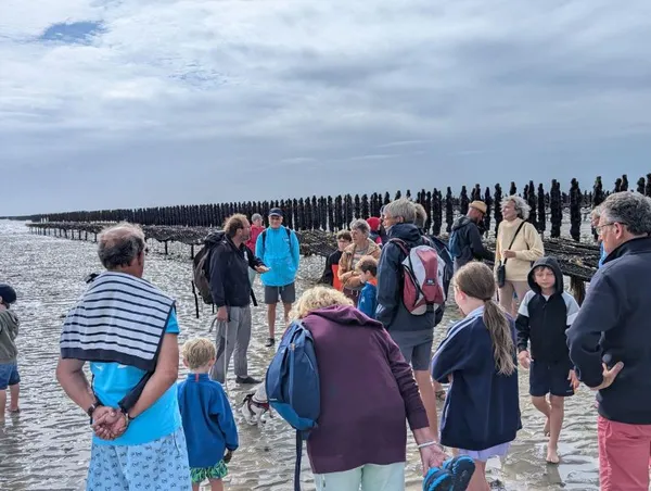 Balade nature : découverte des hauts de plage - la laisse de mer