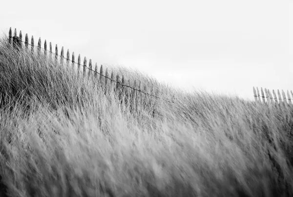 Photographies de Nicolas Evariste