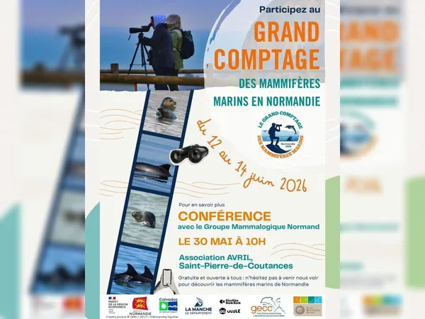 Grand comptage des mammifères marins de Normandie