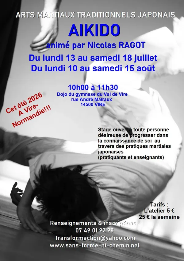 Stage d'arts martiaux traditionnels Japonais - Aikido à Vire Normandie