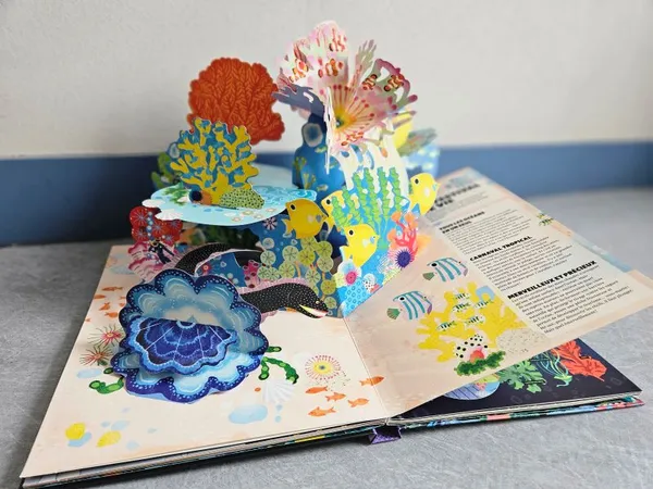 Lecture de pop-up