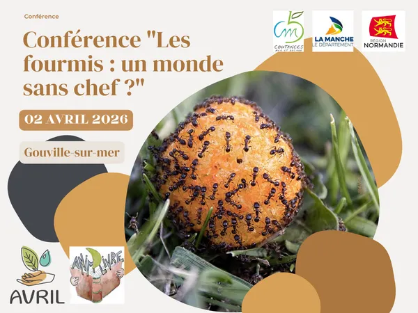Conférence "Les fourmis : un monde sans chef ?"