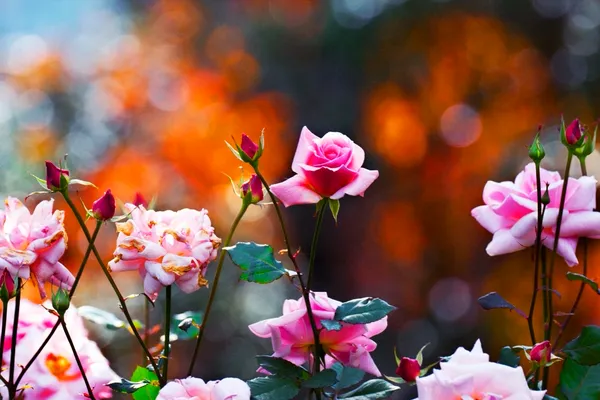 Eternity in a Moment