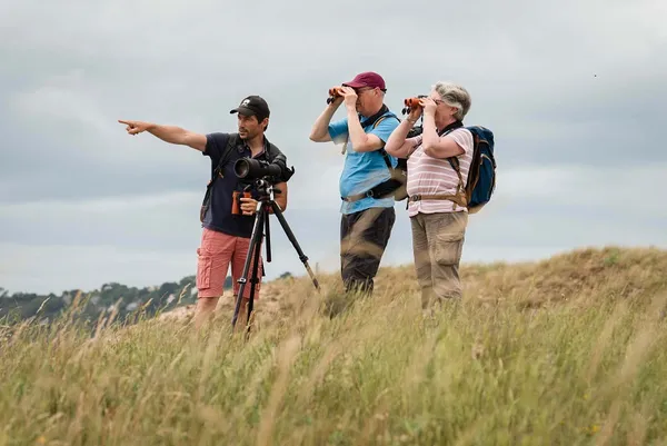 Expérience de Destination : Je me ressource grâce aux oiseaux