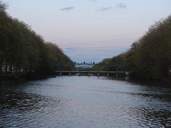 Randonnée : biodiversité nocturne