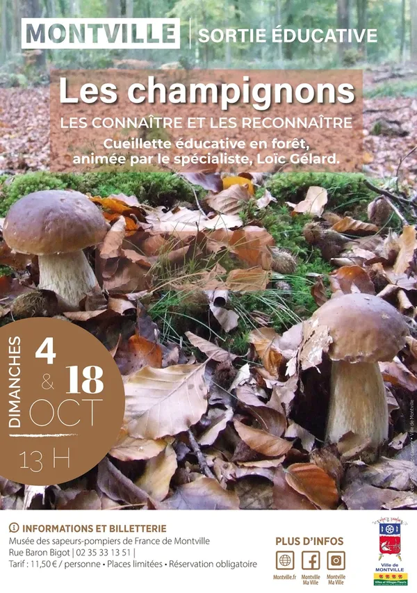 Sorties éducatives : "Les champignons, les connaître et les reconnaître"