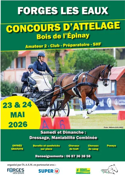 Concours d'attelage