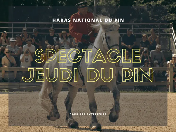 Les Jeudis du Pin